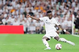 森林狼利用 森林狼利用